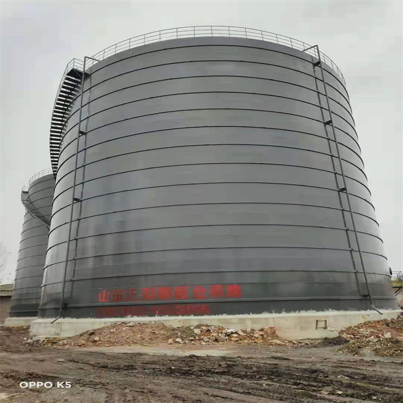 望谟3万吨大型钢板库