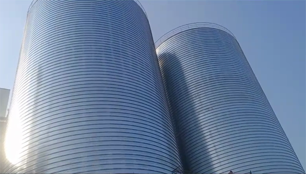 望谟2座混凝土高架卷板仓